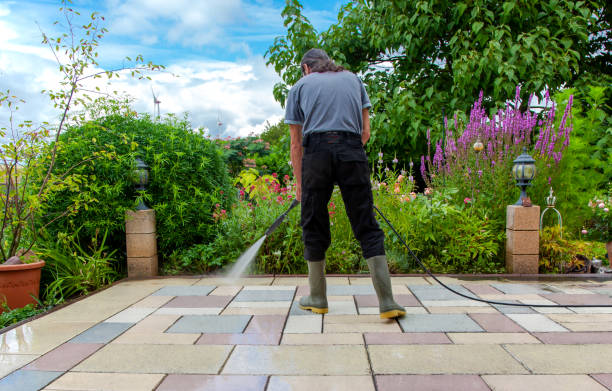 Best Animal Enclosure Cleaning  in Port Richey, FL