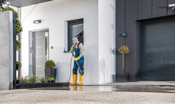 Best Dumpster Area Cleaning  in Port Richey, FL